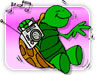 Turtle Races
